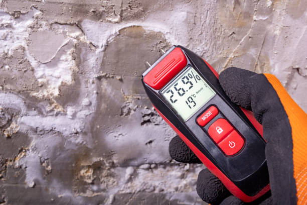 Best Residential Mold Removal  in Franklin, CA
