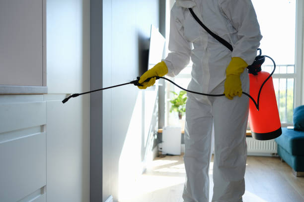 Franklin, CA Mold Removal Company